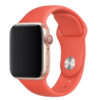 Bracelet Sport Apple Watch 40 mm Nectarine