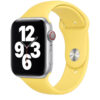 44mm ginger sport band