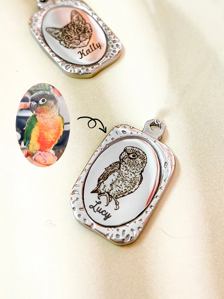 Customized Pet Magic Mirror Pendant Titanium Steel Necklace - Bild 3